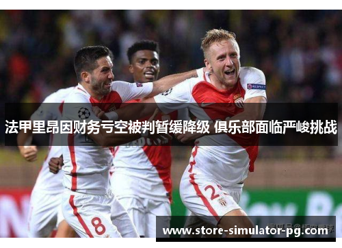 法甲里昂因财务亏空被判暂缓降级 俱乐部面临严峻挑战